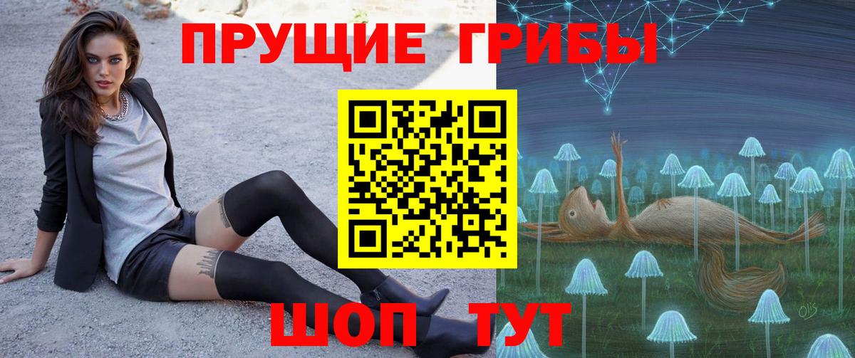 Псилоцибиновые грибы Psilocybe Кызыл