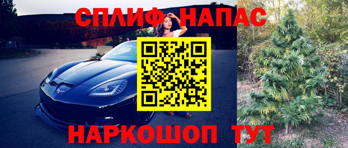 Бошки Шишки план Кызыл